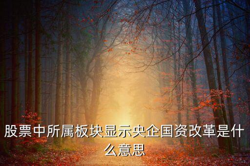 什么是國資改革，股票中所屬板塊顯示央企國資改革是什么意思