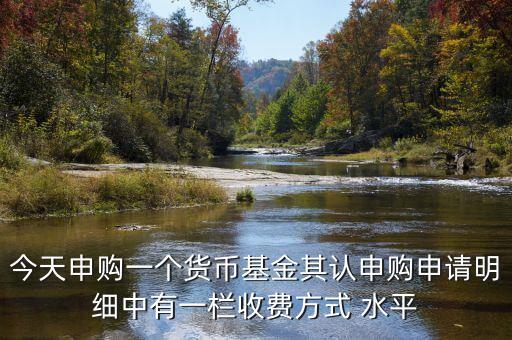 基金收費顯示平均收費是什么意思，今天申購一個貨幣基金其認申購申請明細中有一欄收費方式 水平