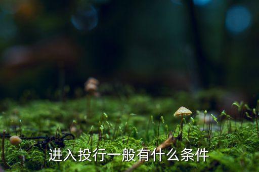進入投行一般有什么條件