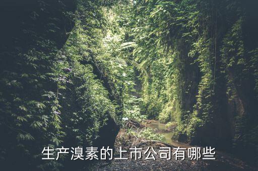 為什么溴素價(jià)格上漲，生產(chǎn)溴素的上市公司有哪些