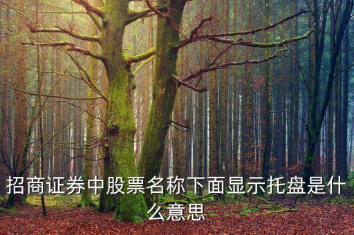股票托盤(pán)是什么意思，股市中上有蓋板下有托盤(pán)的意思