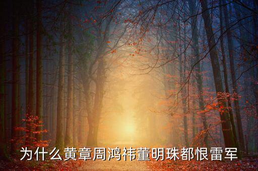 為什么黃章周鴻祎董明珠都恨雷軍