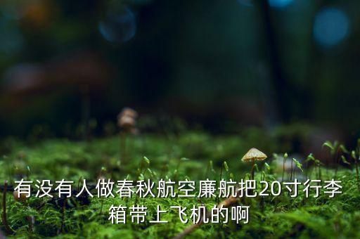 春秋廉航是什么意思，春秋航空晚點8個小時不予賠償損失如何解釋