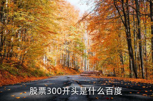 300開頭的新股票是什么，300開頭的是什么股票