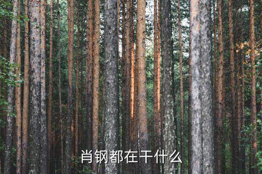 肖鋼就任都做了什么，肖鋼都在干什么