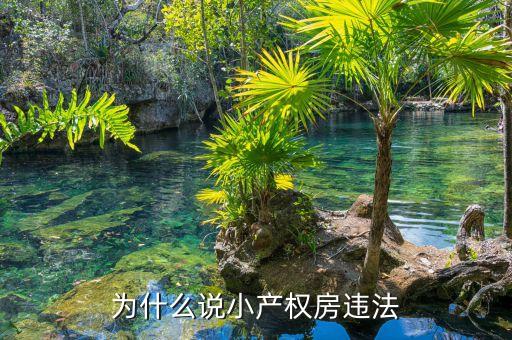 為什么小產(chǎn)權(quán)房不合法，為什么說(shuō)小產(chǎn)權(quán)房違法