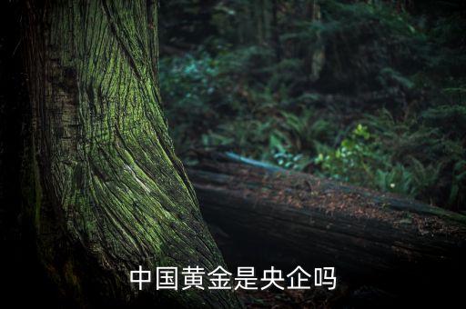 中國黃金為什么是央企品牌，中國黃金在各城市的店鋪是中國黃金直營的還是加盟的如果是直營