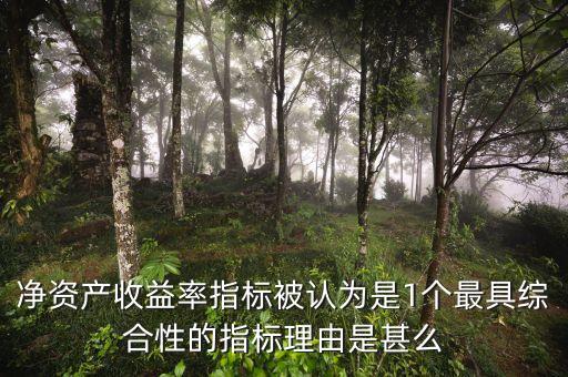 凈資產(chǎn)收益率指標被認為是1個最具綜合性的指標理由是甚么