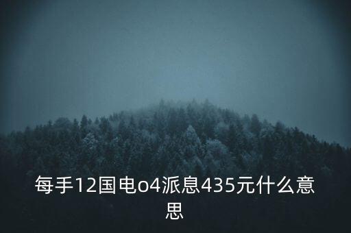 每手12國電o4派息435元什么意思