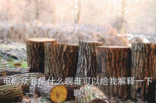 電影眾籌是什么意思，電影眾籌是什么啊誰可以給我解釋一下啊