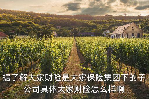 大財(cái)子公司全稱是什么，大財(cái)子什么意思哦