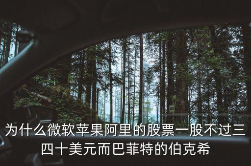伯克希爾股票價(jià)格為什么這么高，伯克希爾哈撒韋公司的股價(jià)為什么這么高