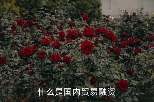 什么是批發(fā)融資，什么是批發(fā)性融資