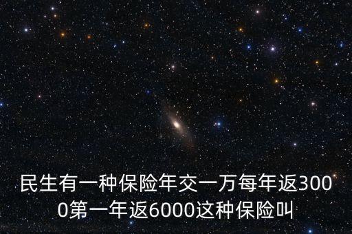 人保的交1萬返3000的險是什么險，民生有一種保險年交一萬每年返3000第一年返6000這種保險叫