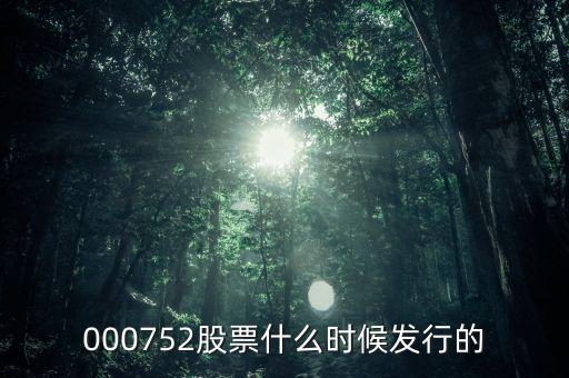 九泰銳富什么時(shí)候發(fā)行，000752股票什么時(shí)候發(fā)行的