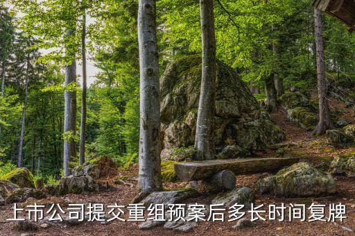 股票重組后一般什么時(shí)候復(fù)牌呢，上市公司提交重組預(yù)案后多長時(shí)間復(fù)牌