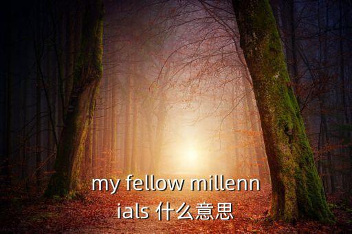 為什么叫千禧一代，my fellow millennials 什么意思