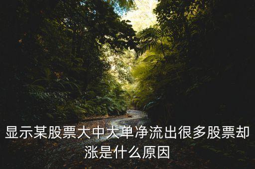 凈大單流出多說(shuō)明什么，凈流出特別是大單流出超大這意味著什么
