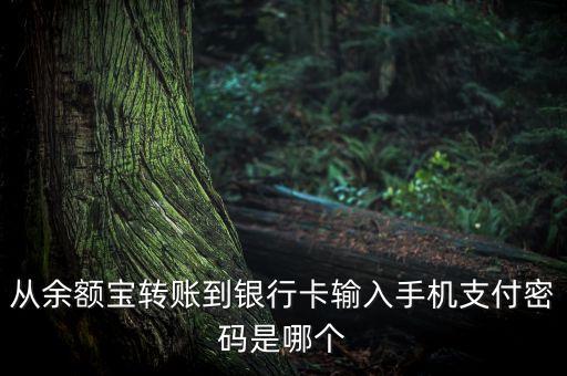 從余額寶轉(zhuǎn)賬到銀行卡輸入手機(jī)支付密碼是哪個(gè)