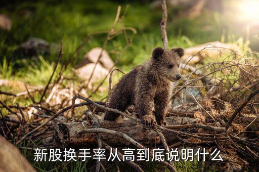 換手率高說明什么新股，新股換手率高說明什么