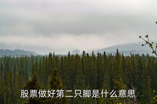 股市站穩(wěn)第二只腳什么意思，第2只腳指貼在大腳指上有甚么意義