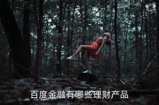 百度有什么理財產品，百度金融有哪些理財產品