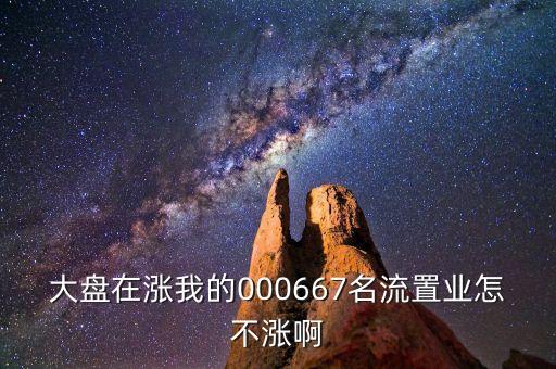000667基金為什么不漲，大盤在漲我的000667名流置業(yè)怎不漲啊