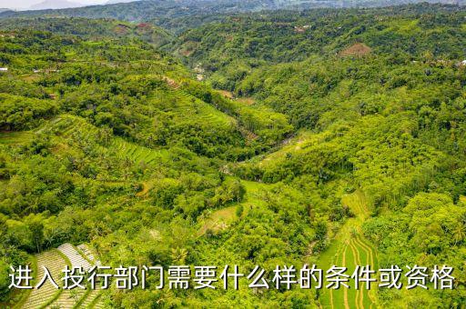 進入投行部門需要什么樣的條件或資格