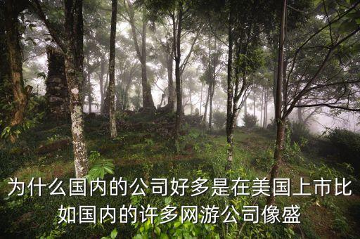 為什么國(guó)內(nèi)的公司好多是在美國(guó)上市比如國(guó)內(nèi)的許多網(wǎng)游公司像盛