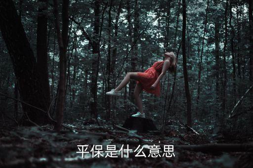 外匯平保是什么意思，平保是什么意思