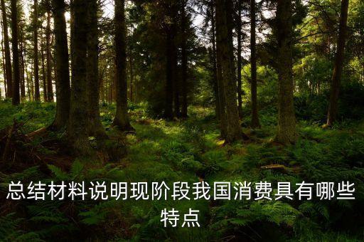 從材料的數(shù)據(jù)中反映了當前消費的什么特點，總結材料說明現(xiàn)階段我國消費具有哪些特點