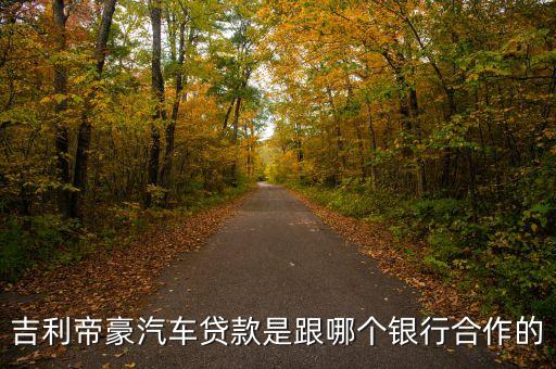 吉利汽車走什么金融，廣州吉利有汽車有自己的金融嗎