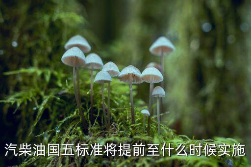 國5柴油什么時候?qū)嵤裼蛧鍢?biāo)準(zhǔn)將提前至什么時候?qū)嵤?/></a></span><span id=
