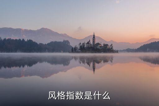 什么是股票風(fēng)格板塊，風(fēng)格指數(shù)是什么