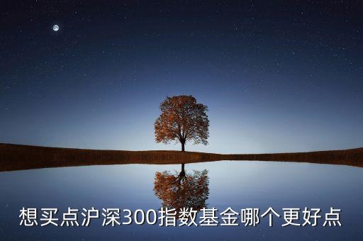 想買點(diǎn)滬深300指數(shù)基金哪個(gè)更好點(diǎn)