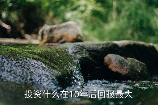 投資什么年回報10，投資什么在10年后回報最大
