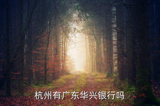 廣東華興銀行貸款給什么企業(yè)，杭州有廣東華興銀行嗎