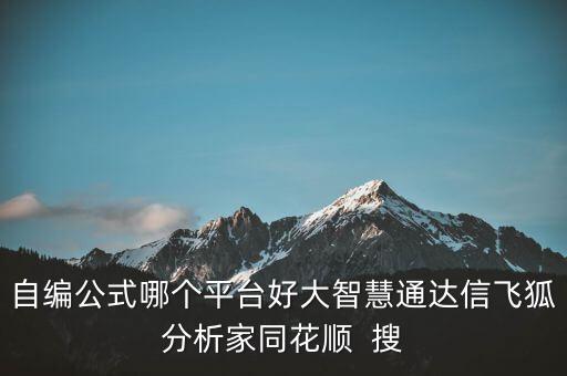 自編公式哪個平臺好大智慧通達(dá)信飛狐分析家同花順  搜