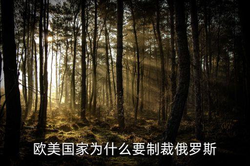 歐美國家為什么要制裁俄羅斯