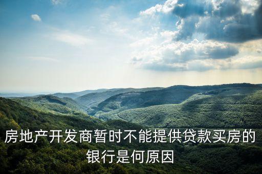 房地產(chǎn)開發(fā)商為什么不向銀行借款，房地產(chǎn)開發(fā)商向銀行貸款為什么貸不出來(lái)呢