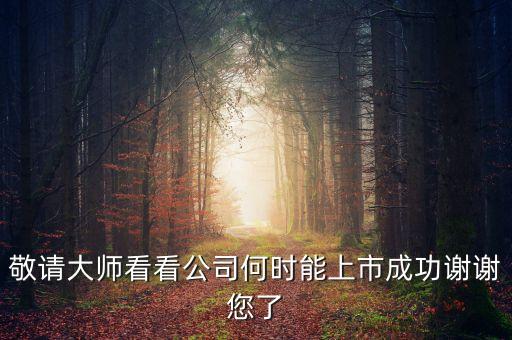 建藝集團(tuán)什么時(shí)間申請(qǐng)上市的，敬請(qǐng)大師看看公司何時(shí)能上市成功謝謝您了