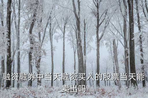 融資融券中當(dāng)天融資買入的股票當(dāng)天能賣出嗎