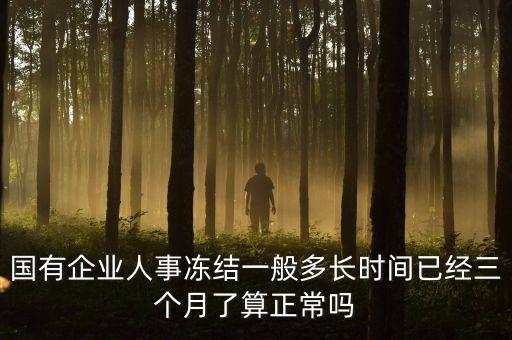 人事凍結(jié)什么意思，什么是人事凍結(jié)哦求解釋
