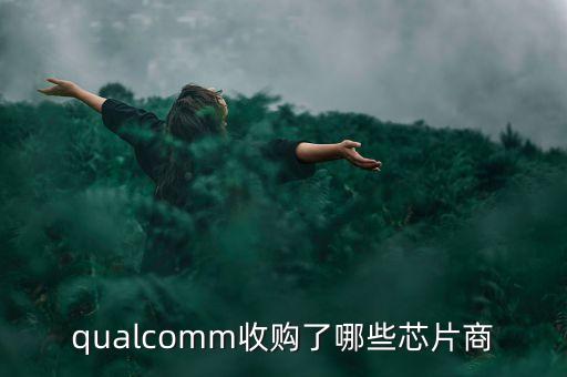 保千里收購什么公司，保千里股票以前叫什么