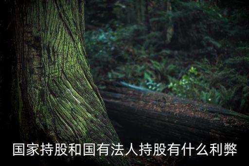 國家持股和國有法人持股有什么利弊