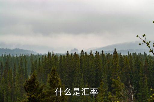 什么是匯率換算，什么是匯率