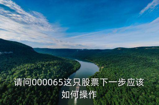 000065是什么重大事件，請問000065這只股票下一步應該如何操作