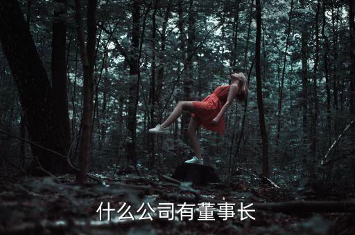 什么公司有董事長(zhǎng)，什么公司有董事長(zhǎng)