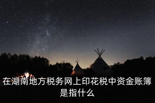 在湖南地方稅務網(wǎng)上印花稅中資金賬簿是指什么