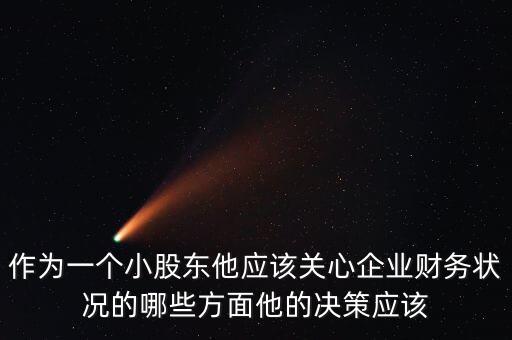 作為一個小股東他應(yīng)該關(guān)心企業(yè)財務(wù)狀況的哪些方面他的決策應(yīng)該